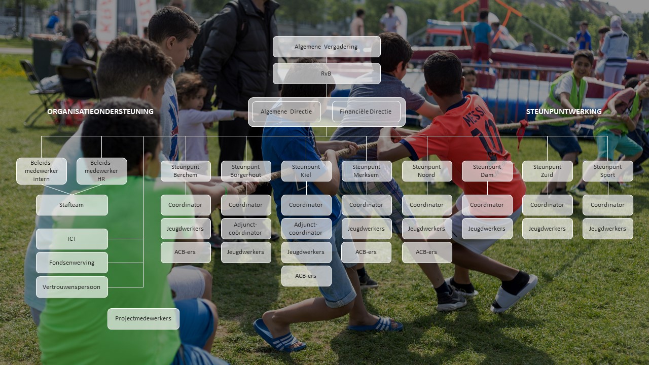 Organogram