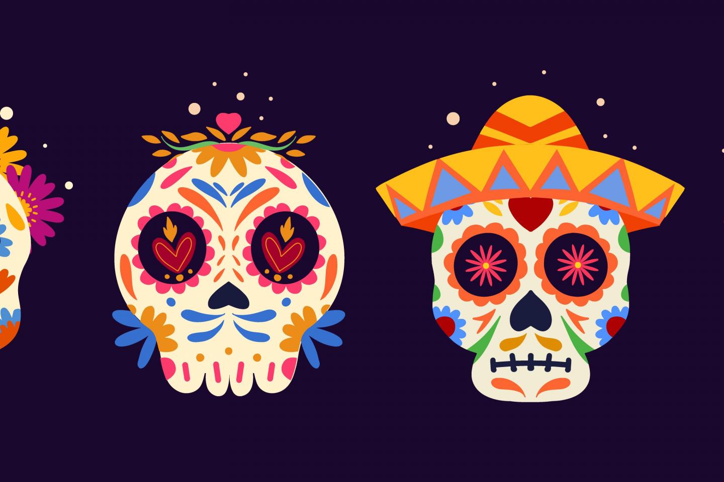 Festival Van Het Verlies