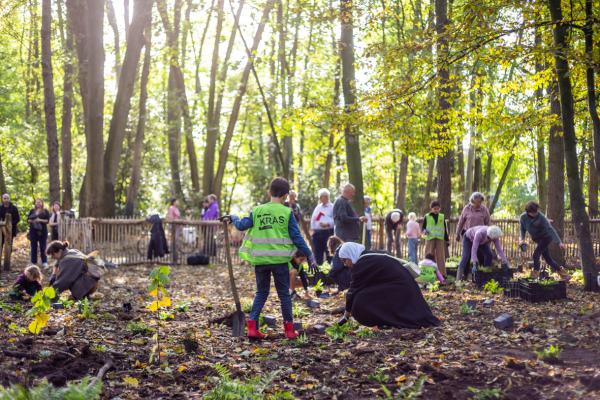 Kras Zuid plant een bos!
