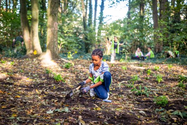 Kras Zuid plant een bos!
