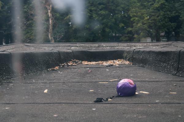 Expo DakKan Redactie 2020